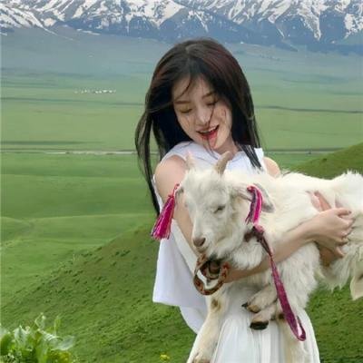 行运一条龙粤语